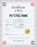 Coral Classic cat certificate design — the recipient can keep this suggestion or pick another when they claim