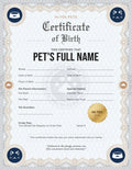Navy Elegance cat certificate design — the recipient can keep this suggestion or pick another when they claim