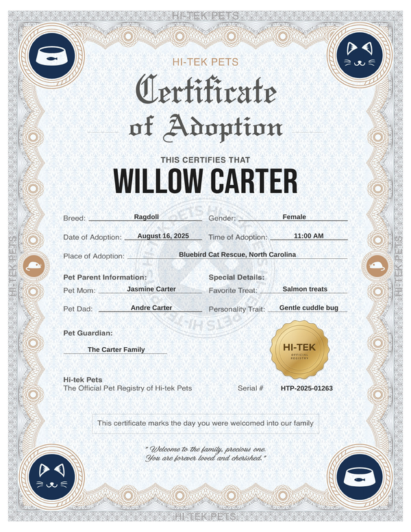 Navy Elegance cat adoption certificate, personalized for Willow