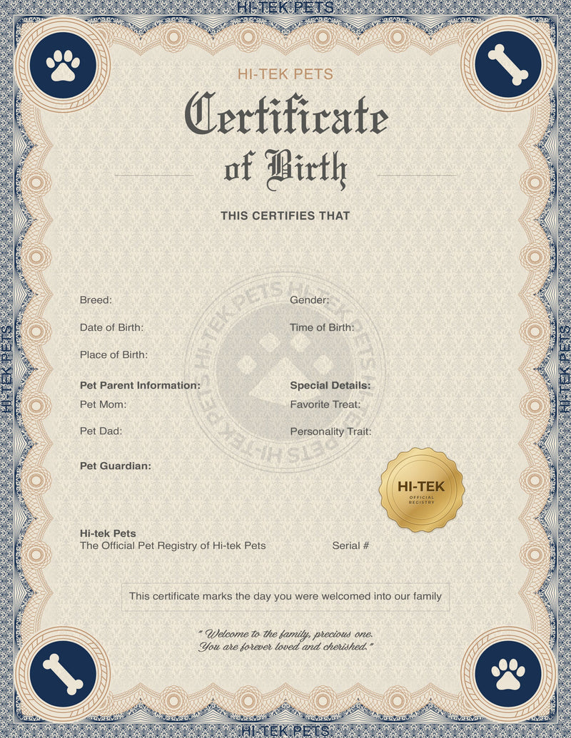 Live preview of your certificate in the selected design
